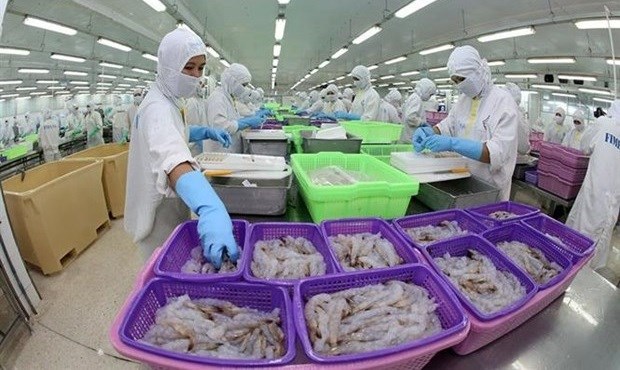 Les exportations en 2021 sont le point lumineux de l économie